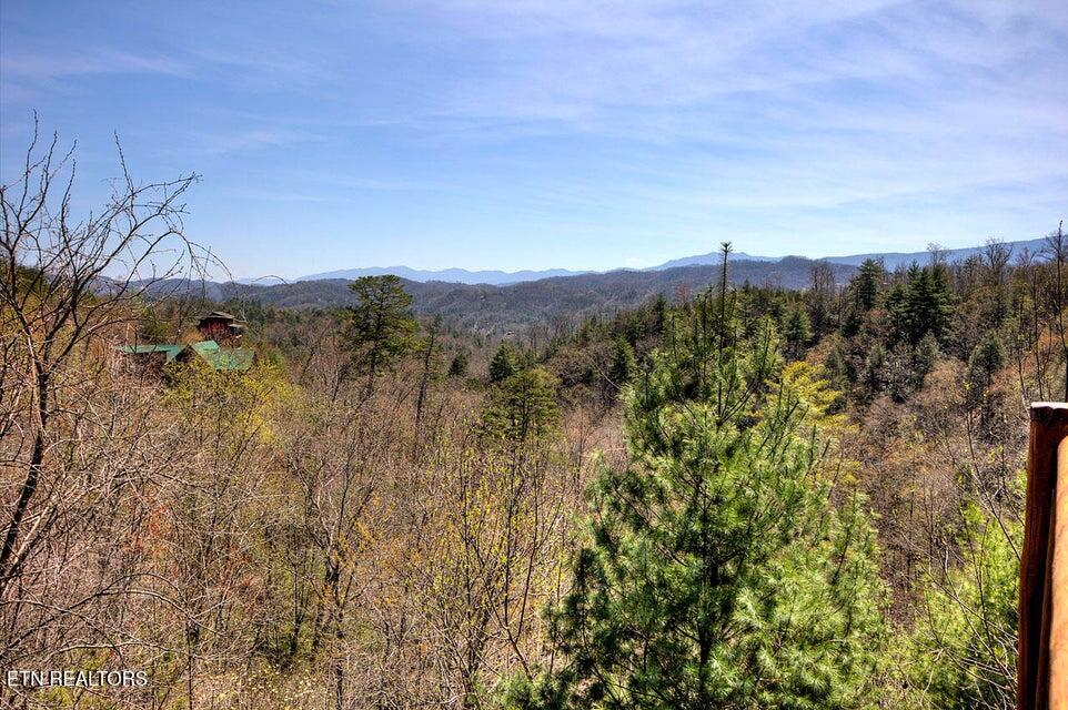 Lot 120 Lower Bluff Way Sevierville, TN 37862 - Photo 10 of 15 20180424141642680960000000-o - Copy