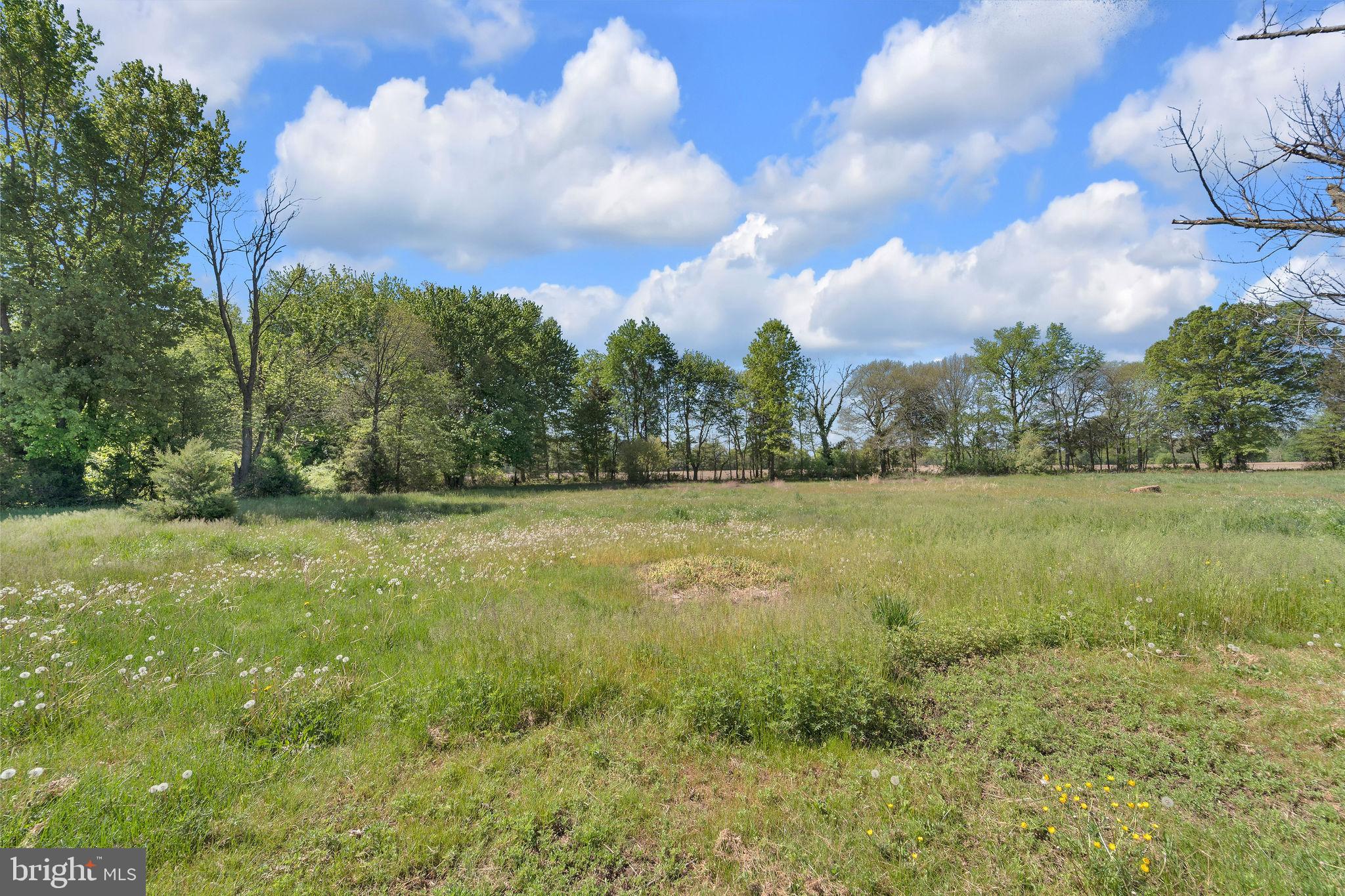 347 Quaker Neck Road Salem, NJ 08079 - Photo 27 of 35 Backyard
