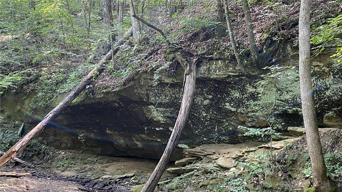 0 Parsoner Creek Road Griffithsville, WV 25521 - Photo 25 of 27 Gallery Image 25