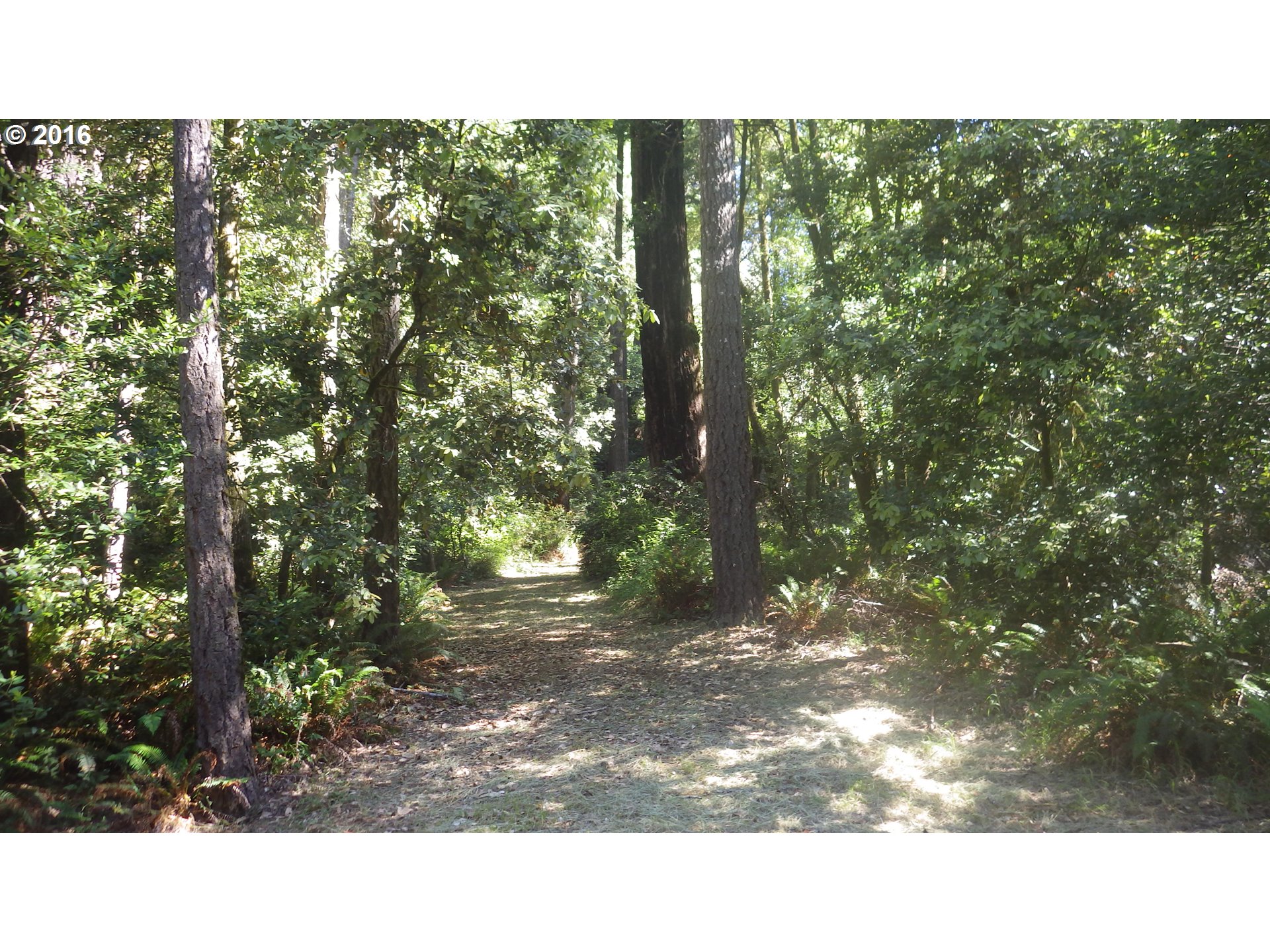 Silver Creek Road, Unit 1 Agness, OR 97406 - Photo 17 of 28 Gallery Image 17