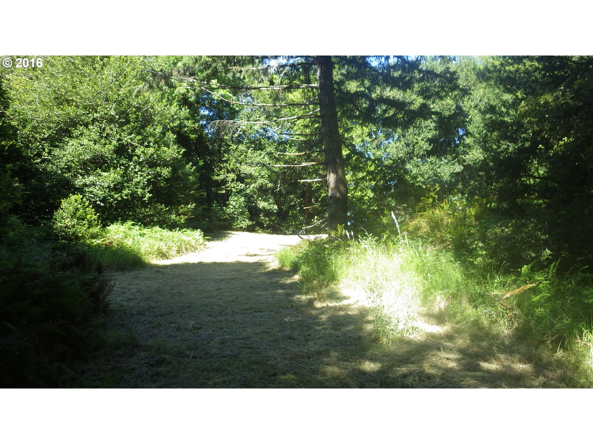 Silver Creek Road, Unit 1 Agness, OR 97406 - Photo 18 of 28 Gallery Image 18