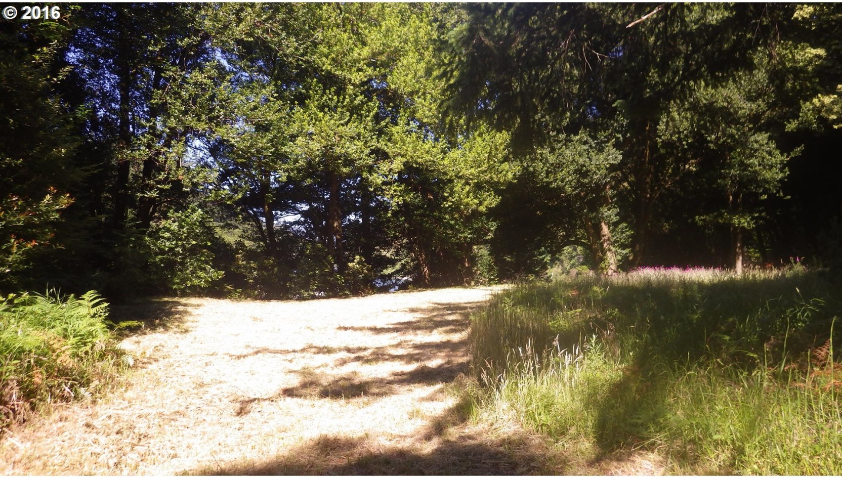 Silver Creek Road, Unit 1 Agness, OR 97406 - Photo 19 of 28 Gallery Image 19
