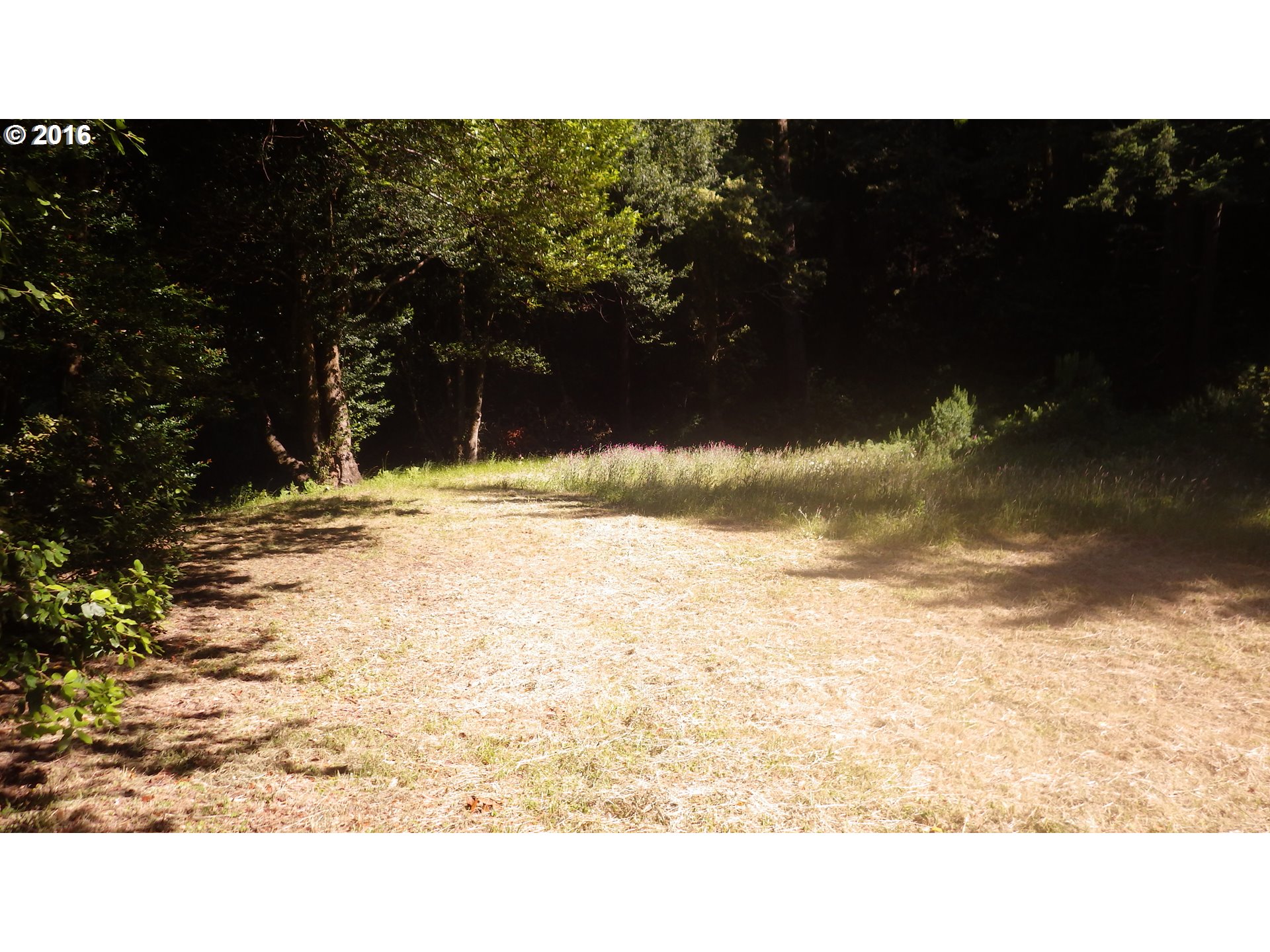 Silver Creek Road, Unit 1 Agness, OR 97406 - Photo 20 of 28 Gallery Image 20