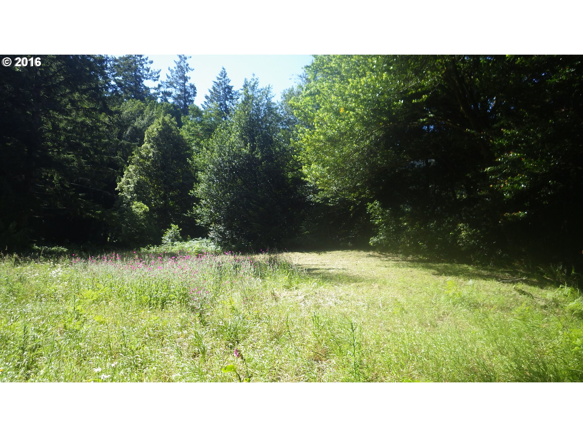 Silver Creek Road, Unit 1 Agness, OR 97406 - Photo 5 of 28 Gallery Image 5