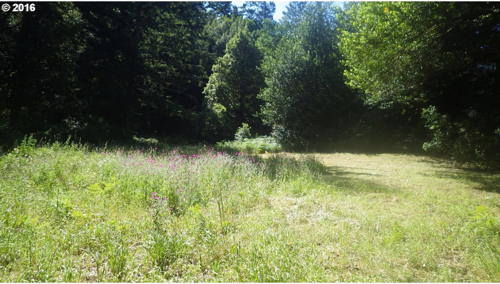 Silver Creek Road, Unit 1 Agness, OR 97406 - Photo 6 of 28 Gallery Image 6