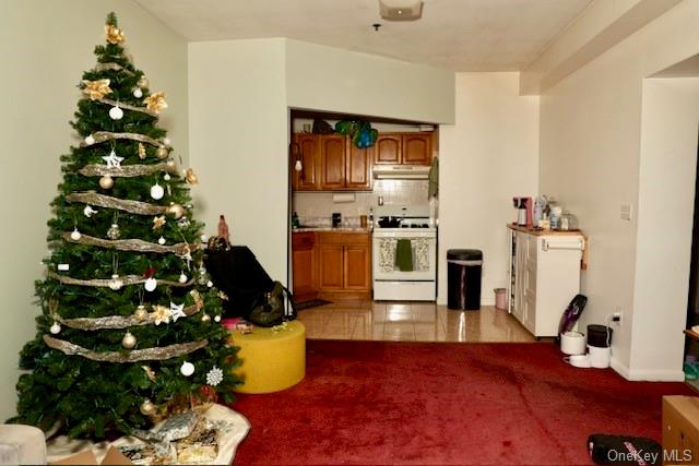 4615-17 White Plains Road Bronx, NY 10470 - Photo 23 of 34