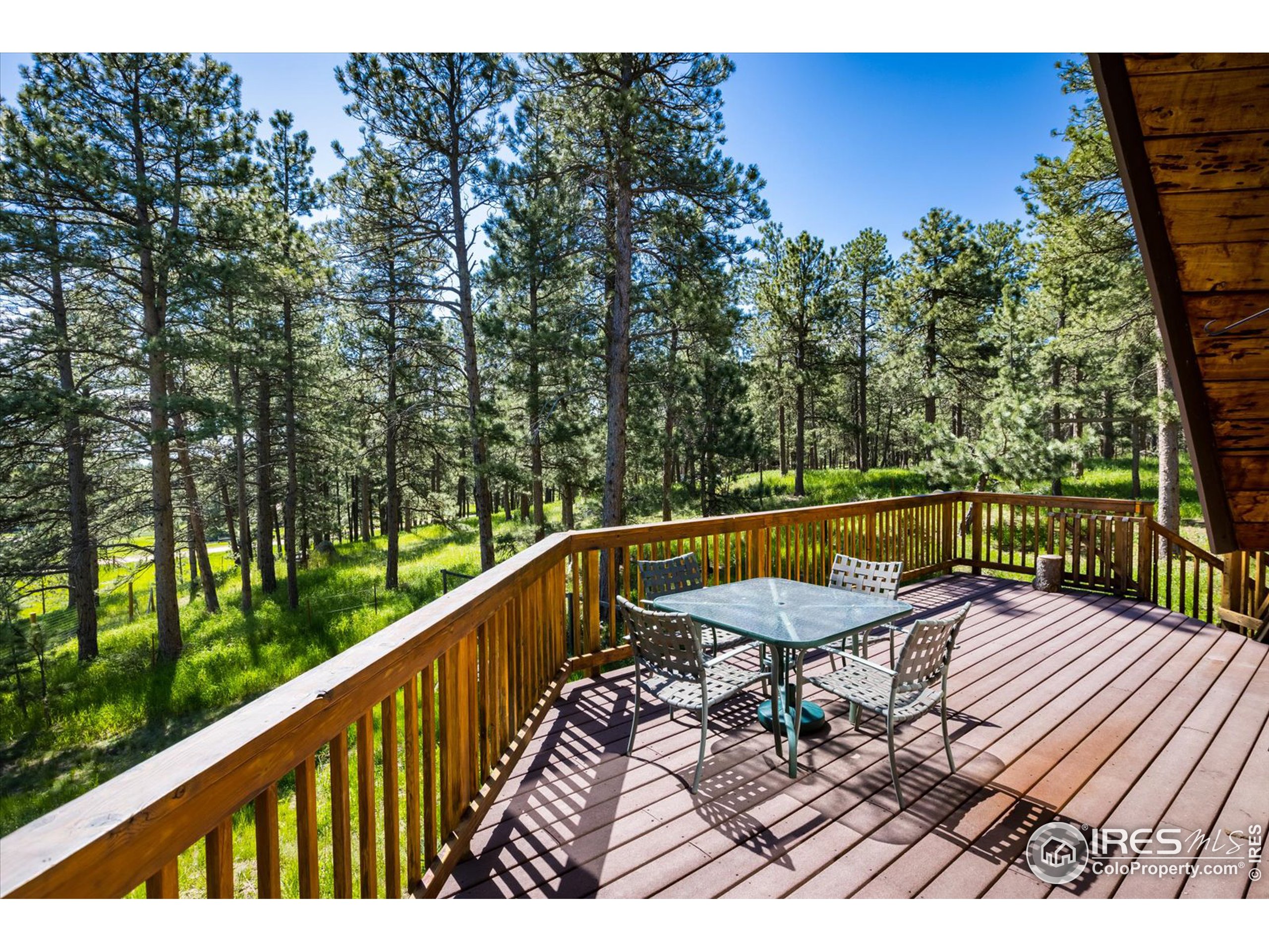 208 Wild Tiger Road Boulder, CO 80302 - Photo 11 of 29