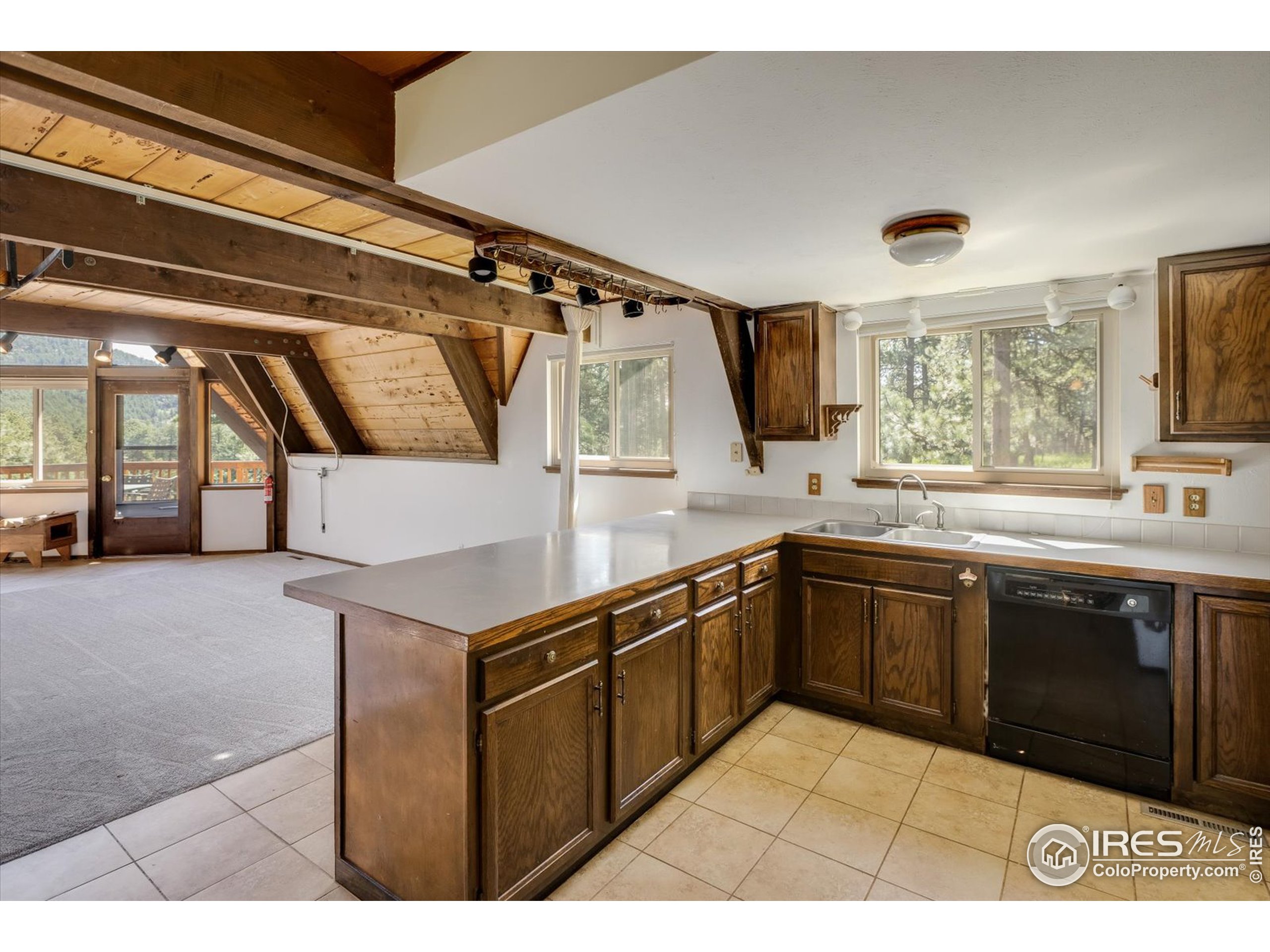 208 Wild Tiger Road Boulder, CO 80302 - Photo 4 of 29