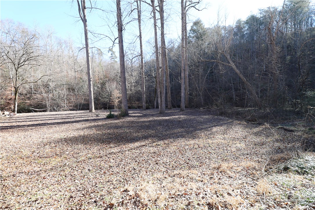200 Laurel And Hardy Lake Road Marietta, SC 29661 - Photo 12 of 47 Mature trees and ample clear space define this serene lot, perfect for your envisioned home.