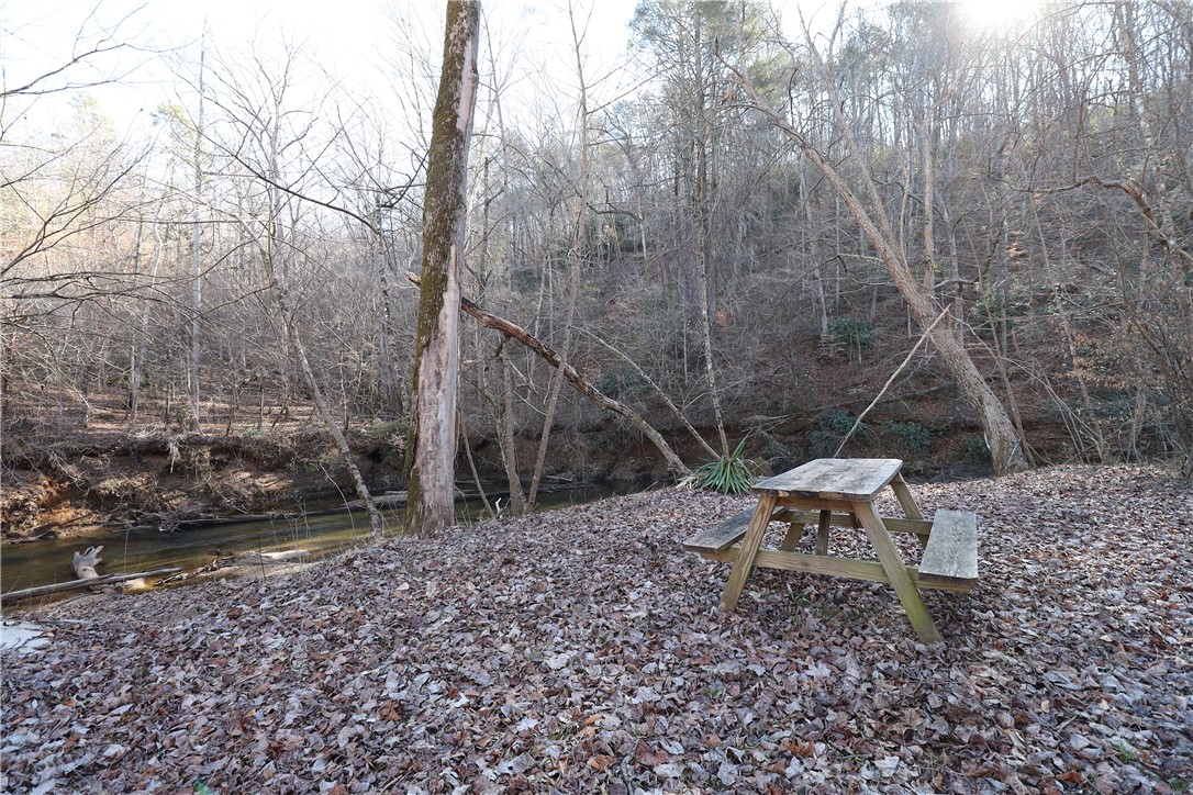 200 Laurel And Hardy Lake Road Marietta, SC 29661 - Photo 15 of 47 A tranquil creekside setting offers a natural escape with abundant trees.