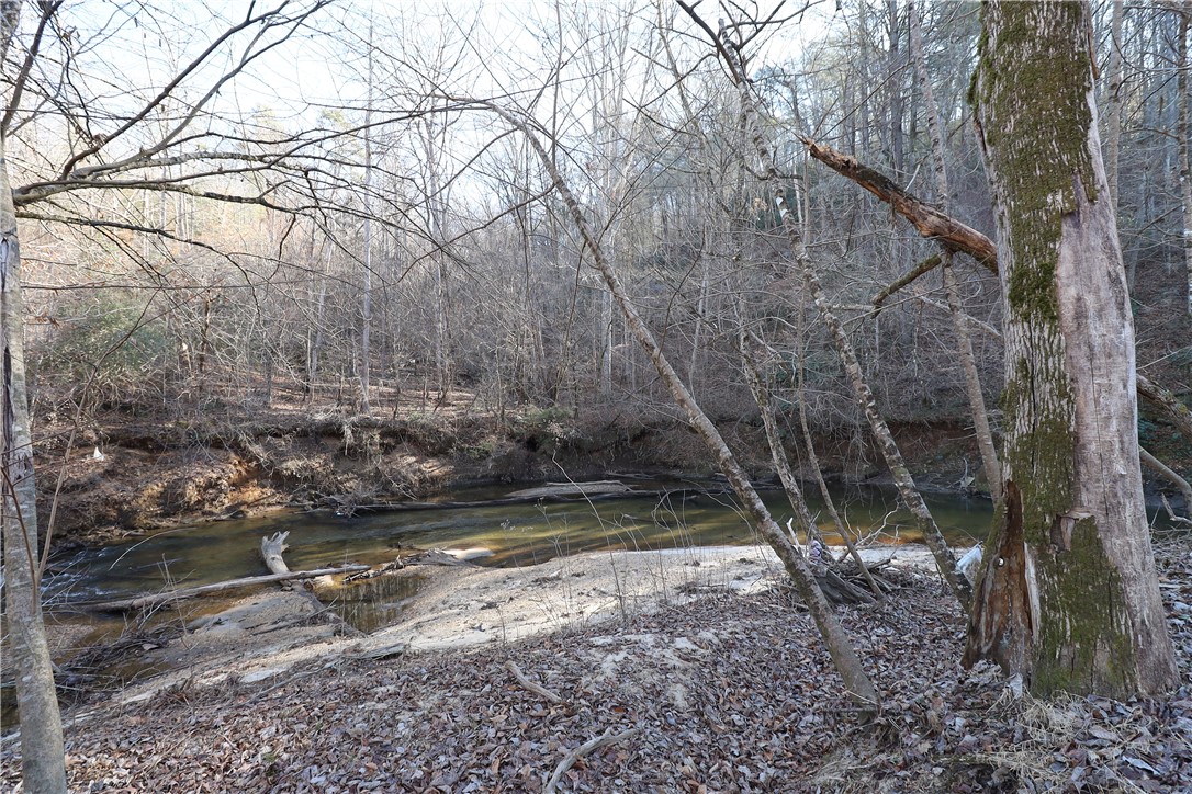 200 Laurel And Hardy Lake Road Marietta, SC 29661 - Photo 16 of 47 A tranquil stream meanders through a wooded landscape, offering serene natural beauty.