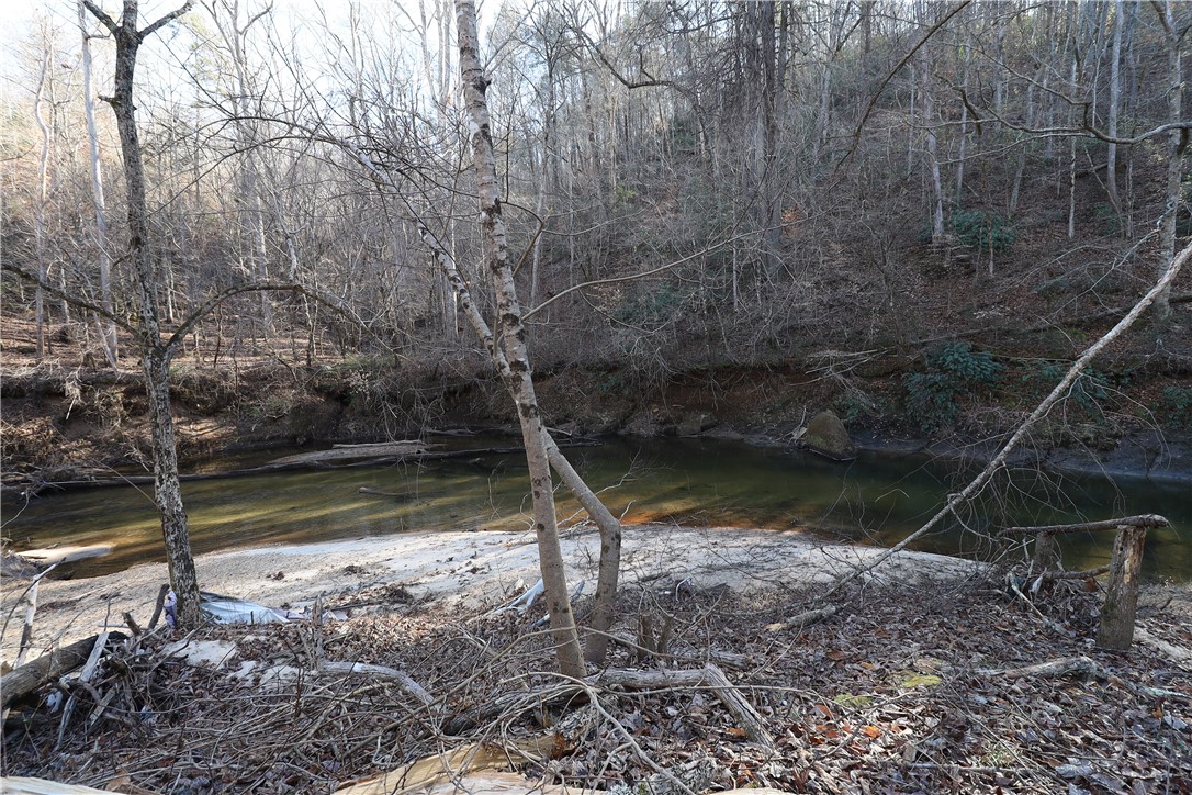 200 Laurel And Hardy Lake Road Marietta, SC 29661 - Photo 17 of 47 This tranquil waterfront property offers direct river access, perfect for outdoor enthusiasts.
