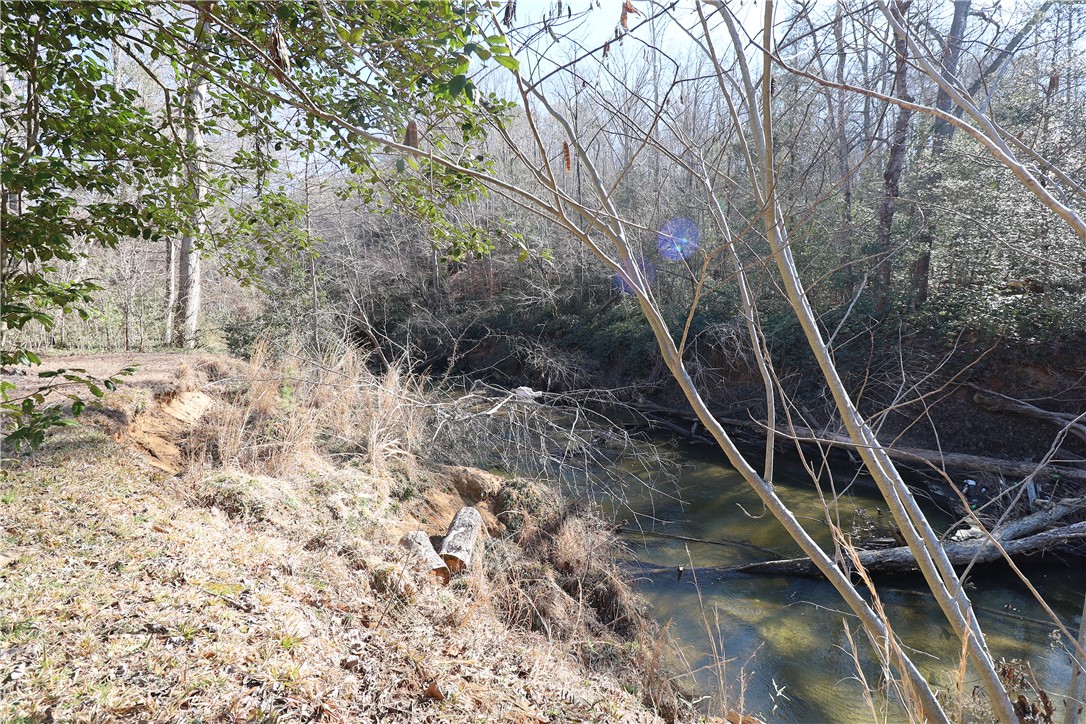 200 Laurel And Hardy Lake Road Marietta, SC 29661 - Photo 42 of 47 This serene creek side view offers a tranquil natural setting.