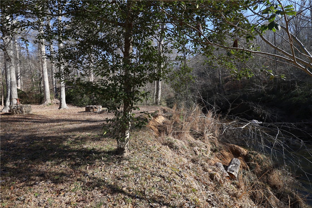 200 Laurel And Hardy Lake Road Marietta, SC 29661 - Photo 43 of 47 This tranquil wooded lot offers a private outdoor retreat with a serene natural water feature.