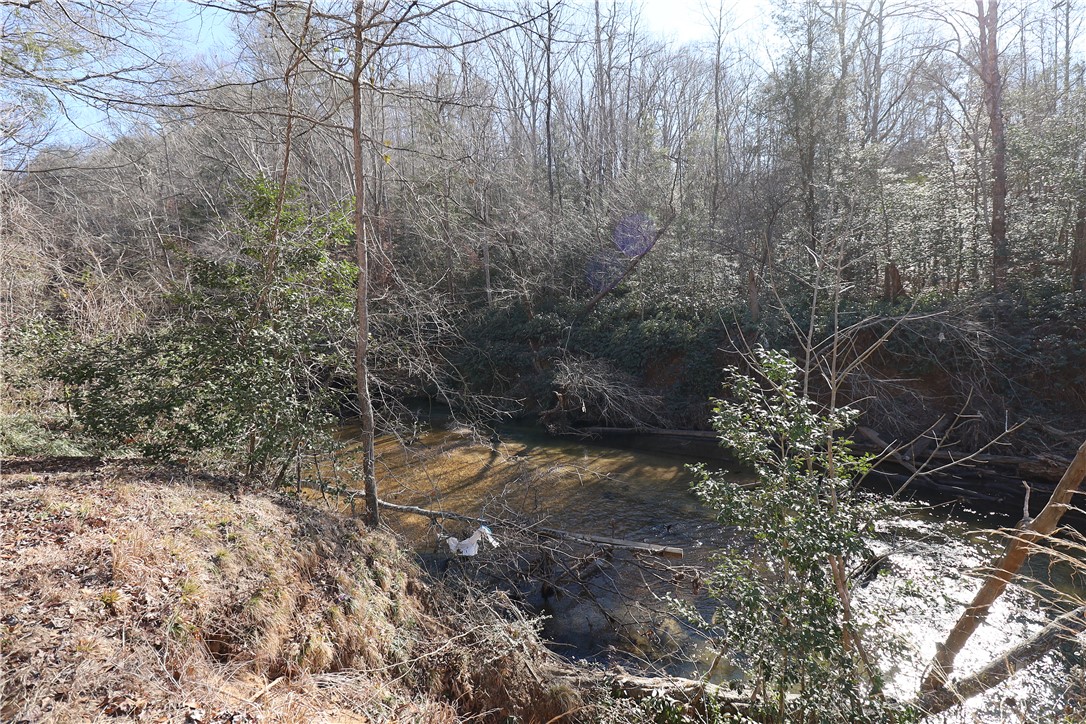 200 Laurel And Hardy Lake Road Marietta, SC 29661 - Photo 46 of 47 A tranquil stream meanders through a lush, wooded landscape, offering natural beauty.