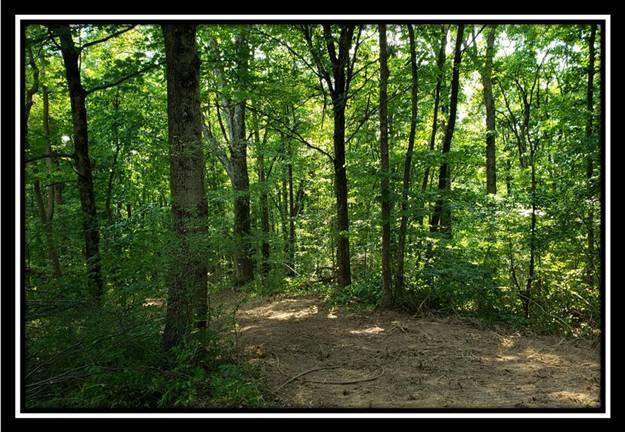 0 Feathers Road Logan, OH 43138 - Photo 25 of 46