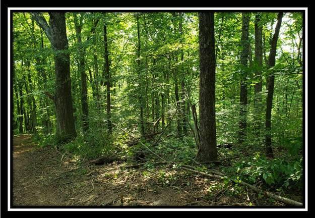 0 Feathers Road Logan, OH 43138 - Photo 26 of 46
