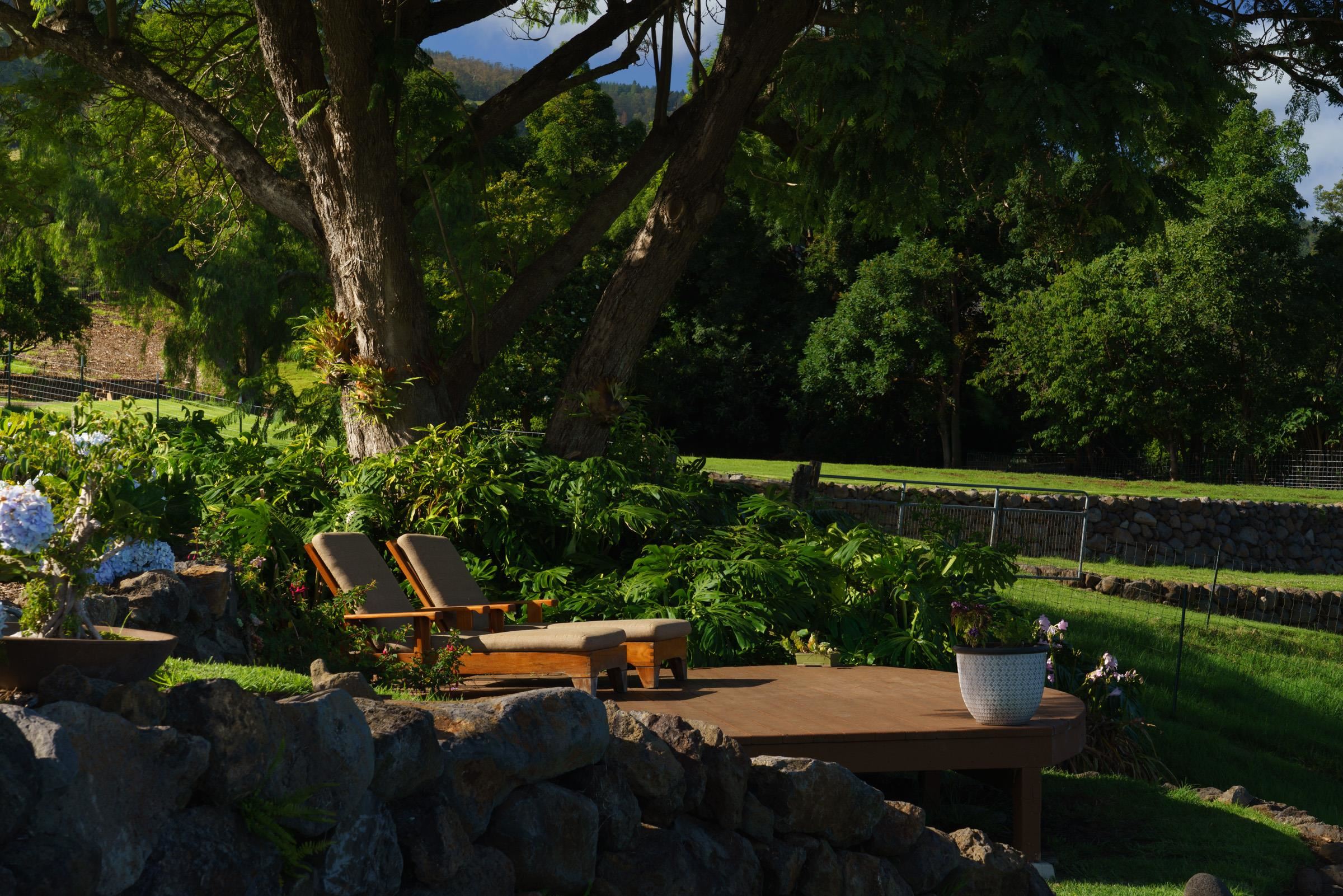 610 Polipoli Road Kula, HI 96790 - Photo 10 of 48