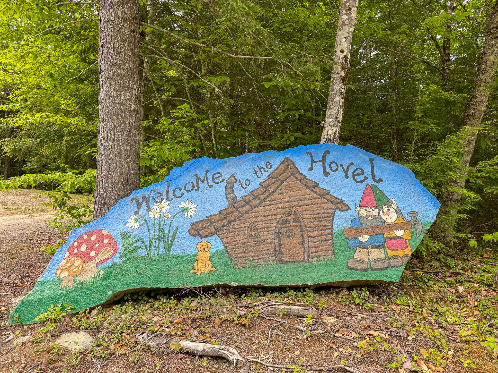 1740 Houston Road Lincoln, ME 04457 - Photo 12 of 27 11a