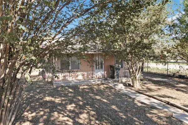 a view of a tree in the middle of a yard