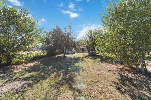 a view of a yard with a tree