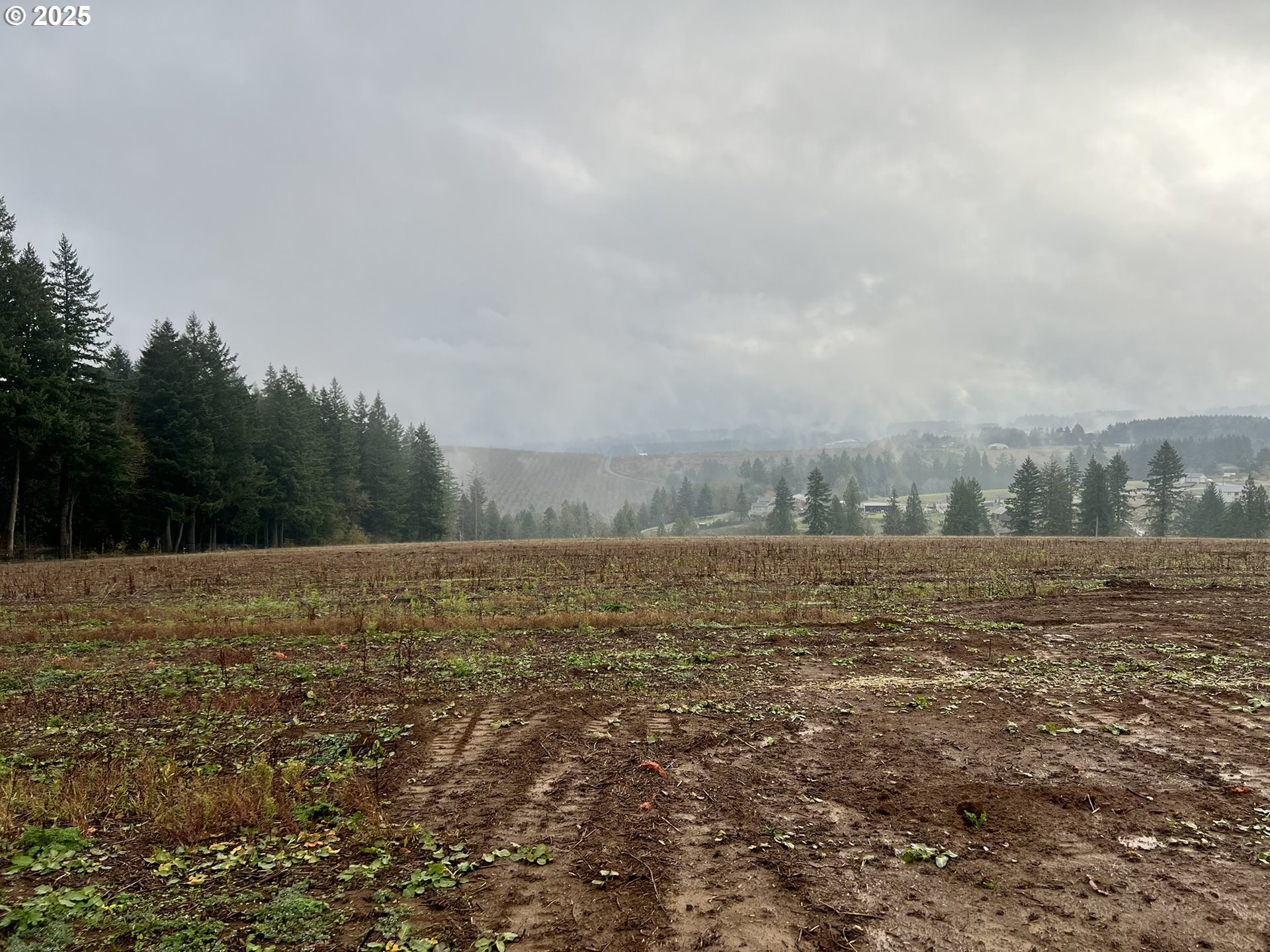 23129 Southwest Jaquith Road Hillsboro, OR 97123 - Photo 4 of 8 a view of a field with an ocean