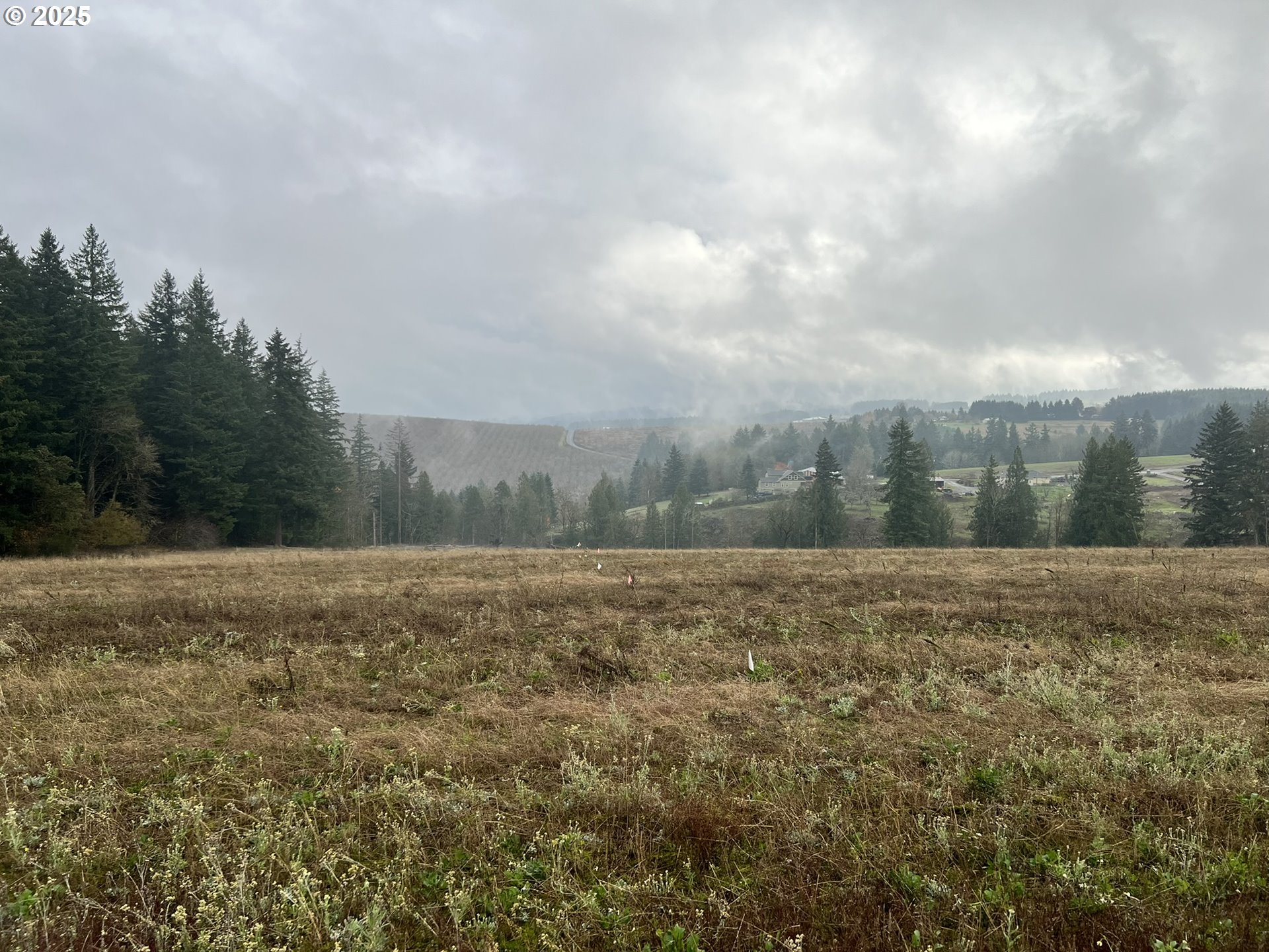 23129 Southwest Jaquith Road Hillsboro, OR 97123 - Photo 5 of 8 a view of a big yard