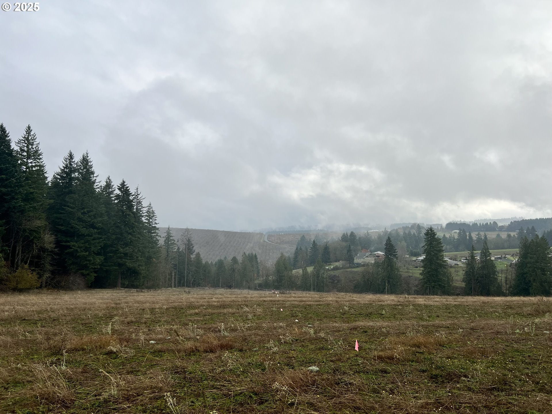 23129 Southwest Jaquith Road Hillsboro, OR 97123 - Photo 7 of 8 a view of a field with trees in background