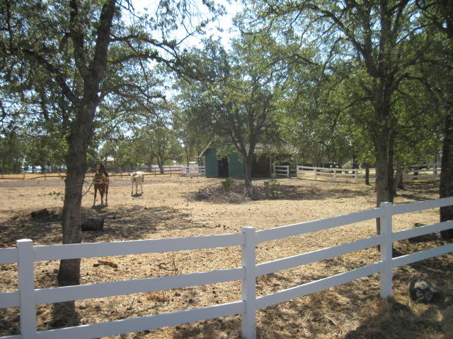 10471 Sundance Road Palo Cedro, CA 96073 - Photo 5 of 21 Pasture