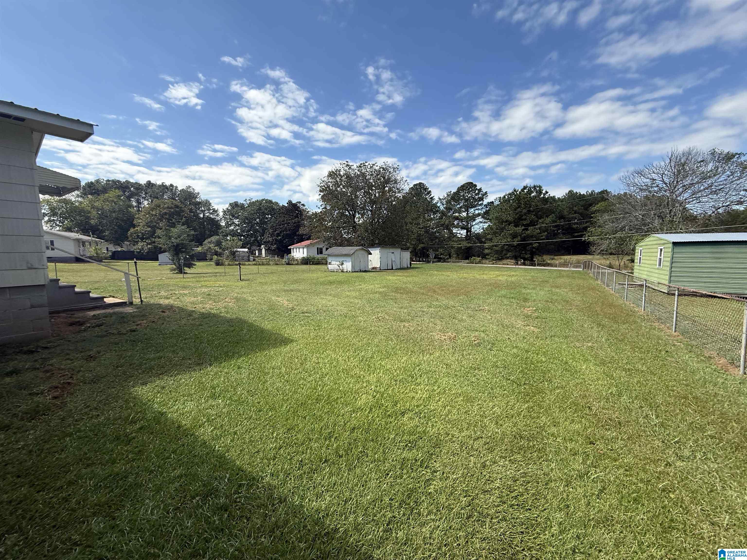 1733 Steinburg Road Piedmont, AL 36272 - Photo 34 of 42
