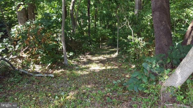 4330 Dares Beach Road Prince Frederick, MD 20678 - Photo 1 of 1 Gallery Image 1