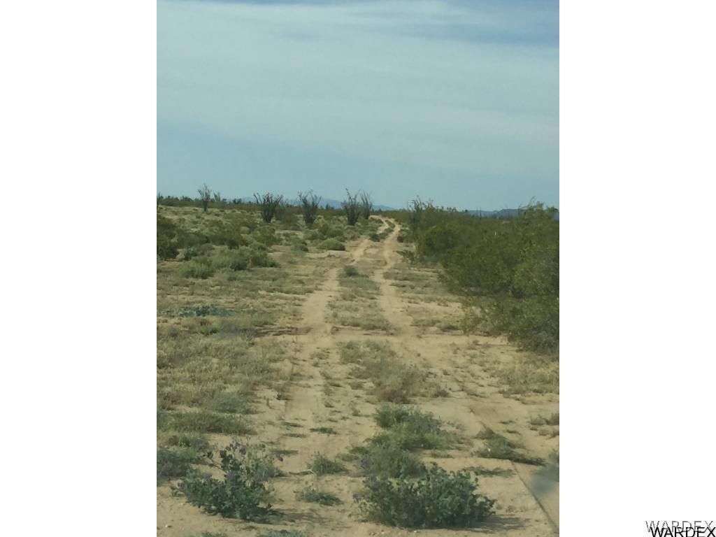 22 West Cliff Road Yucca, AZ 86438 - Photo 3 of 4