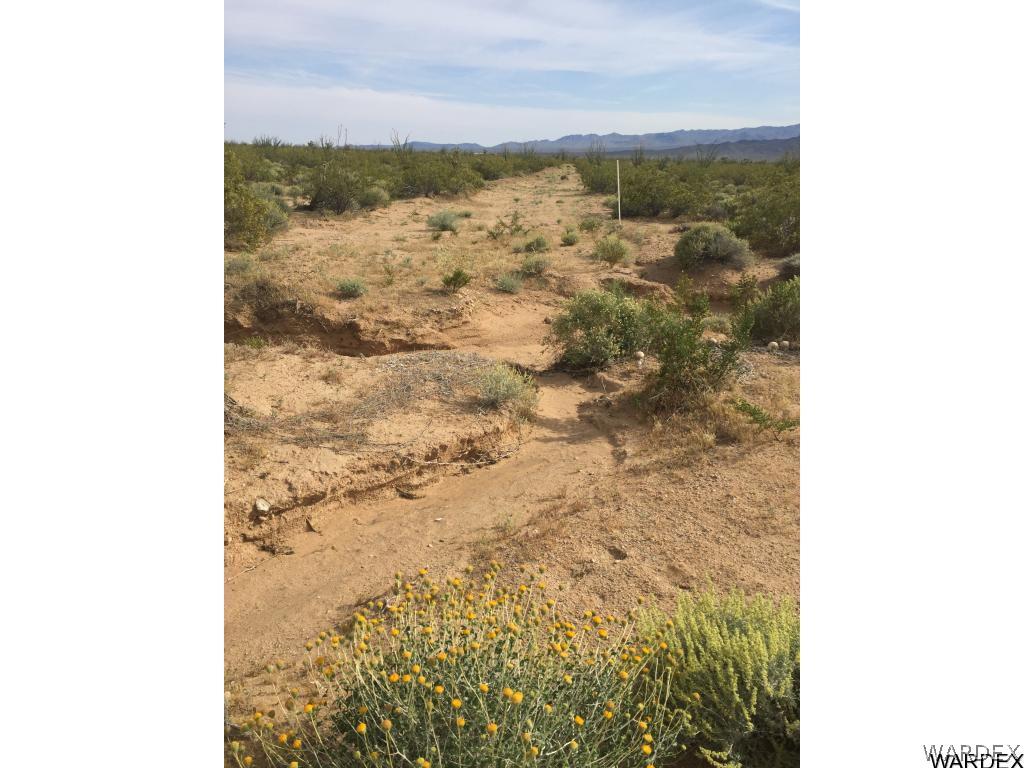 22 West Cliff Road Yucca, AZ 86438 - Photo 4 of 4