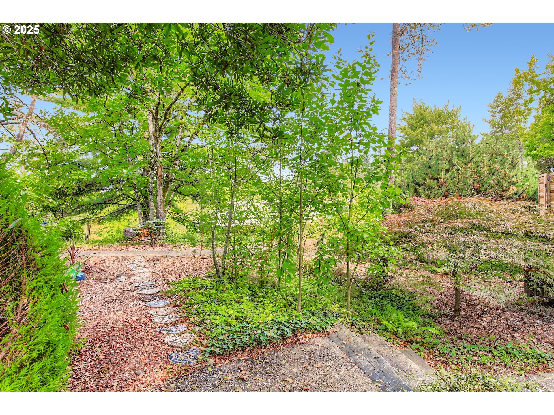 7514 Southwest Barnes Road, Unit A Portland, OR 97225 - Photo 23 of 24 a view of a yard with plants and large trees