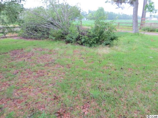 6690 3 Bend Road Nichols, SC 29581 - Photo 29 of 40 Gallery Image 29