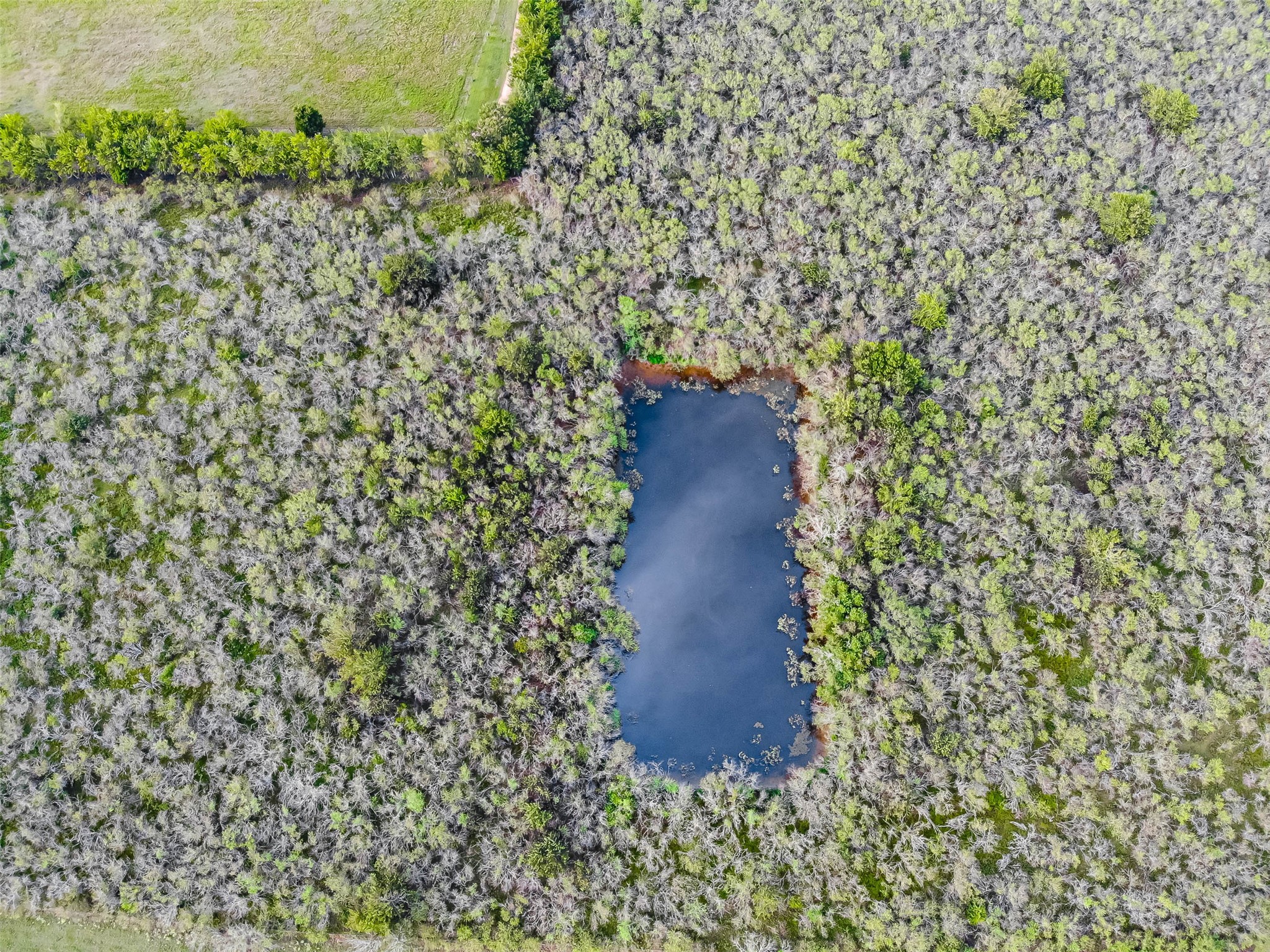 1226 South Farm To Market 331 Road Sealy, TX 77474 - Photo 4 of 6 a view of a garden with plants