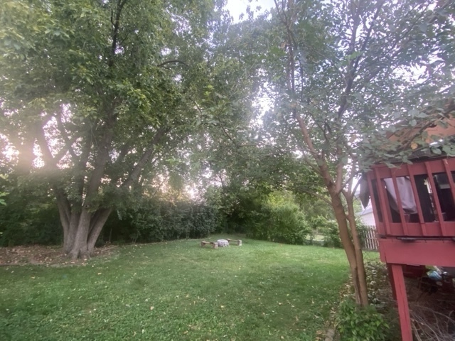 12 Timberview Drive Bloomington, IL 61701 - Photo 39 of 40 a view of a lush green forest