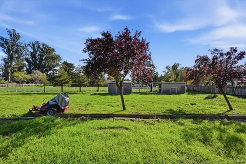 a view of a park with large trees