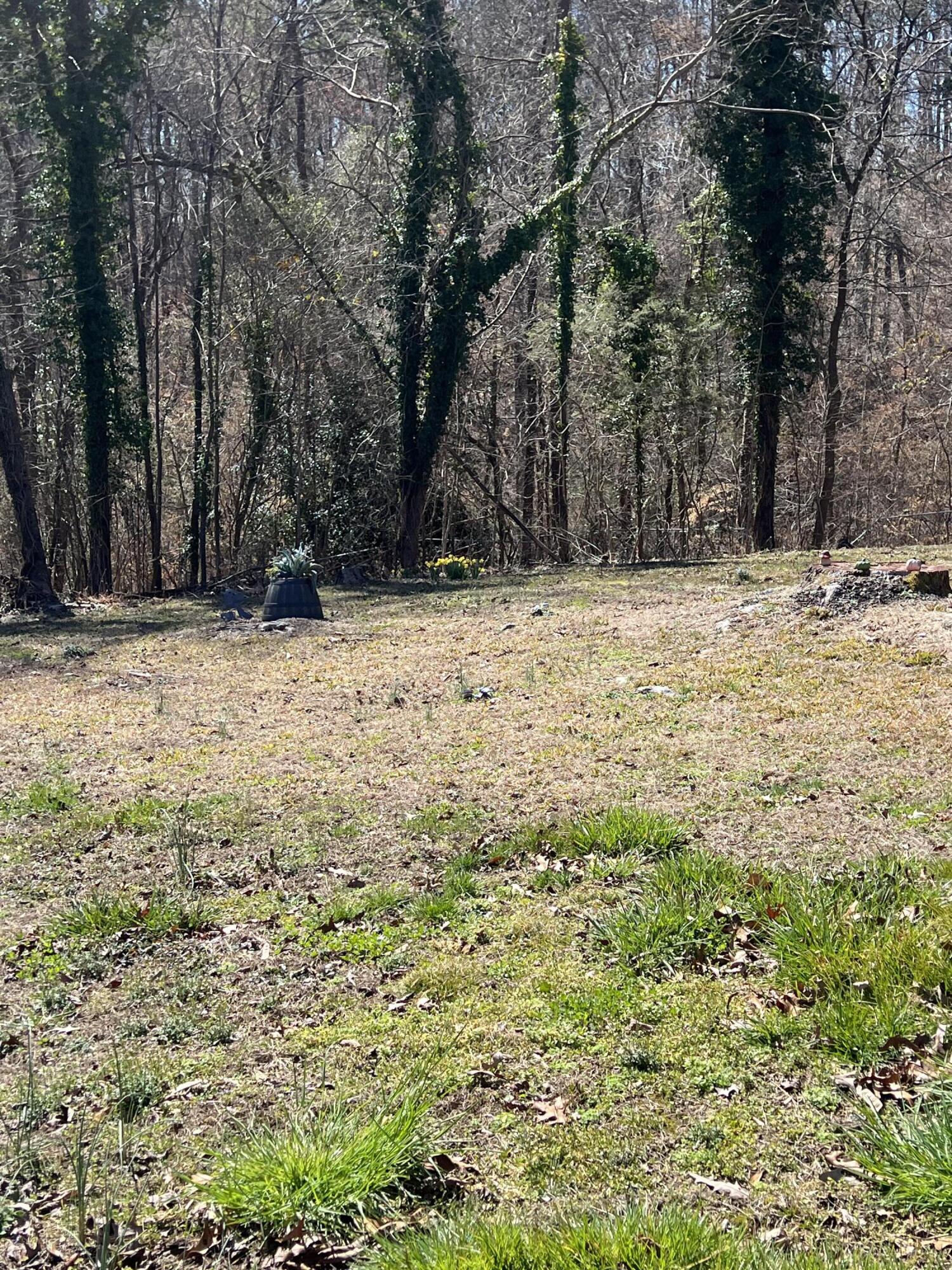 1032 Hill Crest Road Hixson, TN 37343 - Photo 33 of 33 IMG_4680