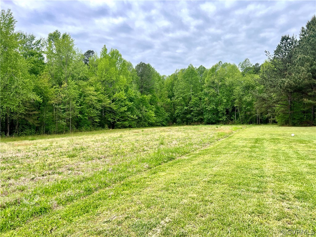 1660 Wills Road Ford, VA 23850 - Photo 34 of 36 a view of outdoor space and yard
