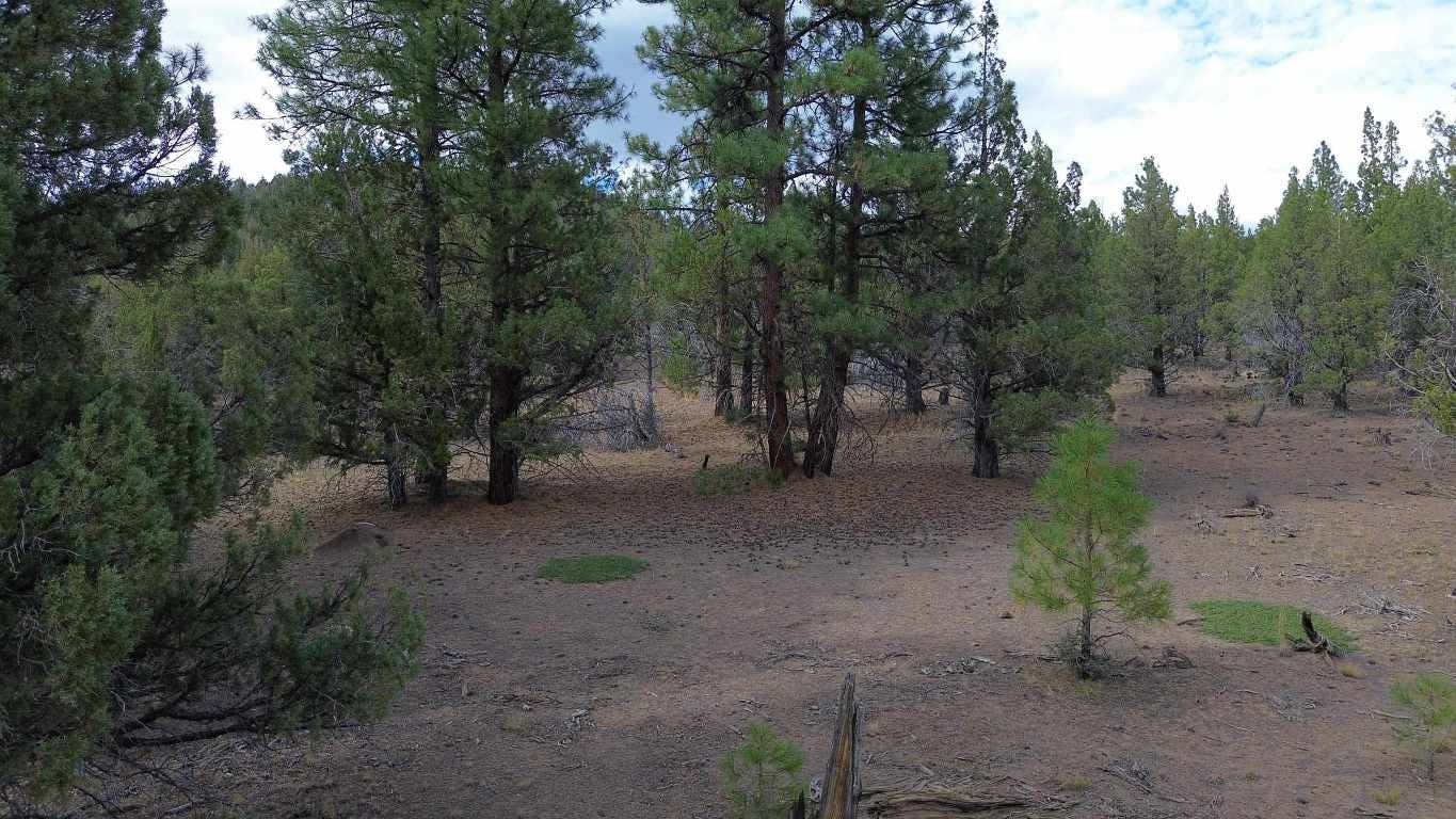 Robison Road Macdoel, CA 96058 - Photo 21 of 30 Gallery Image 21