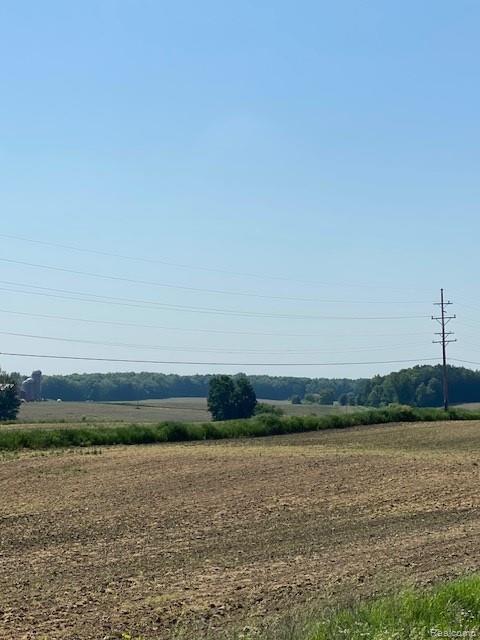 7451 Fostoria Road Mayville, MI 48744 - Photo 16 of 41