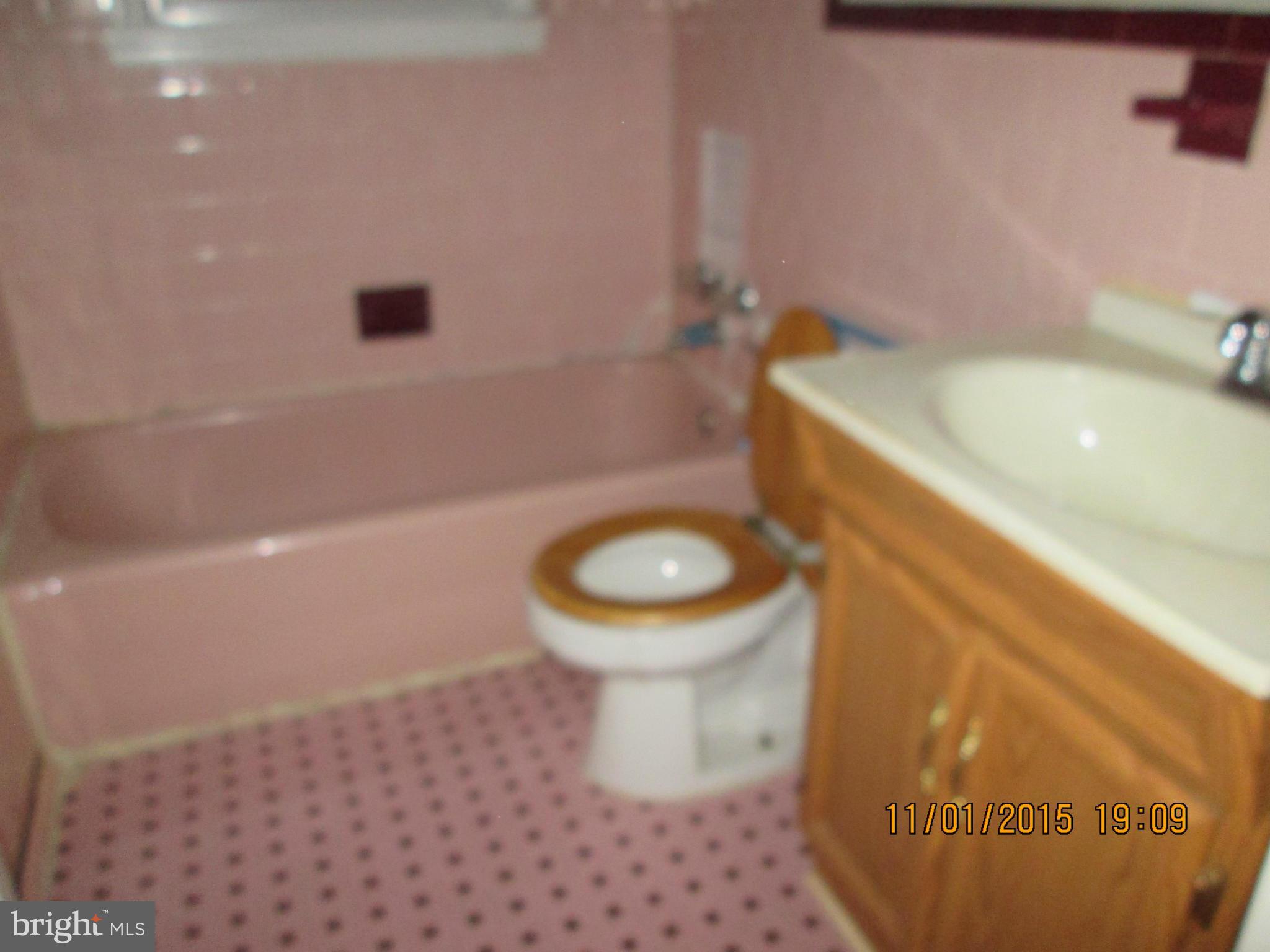 2249 Firethorn Road Baltimore, MD 21220 - Photo 9 of 13 Bath