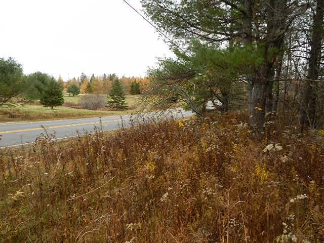 Lot 13-g West Bay Road Prospect Harbor, ME 04669 - Photo 6 of 20 Photo
