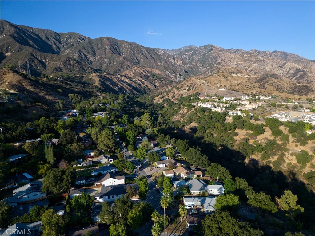 4367 Rising Hill Road Altadena, CA 91001 - Photo 54 of 57 a view of a lot of trees