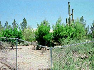 6815 West Ina Road Tucson, AZ 85743 - Photo 1 of 1