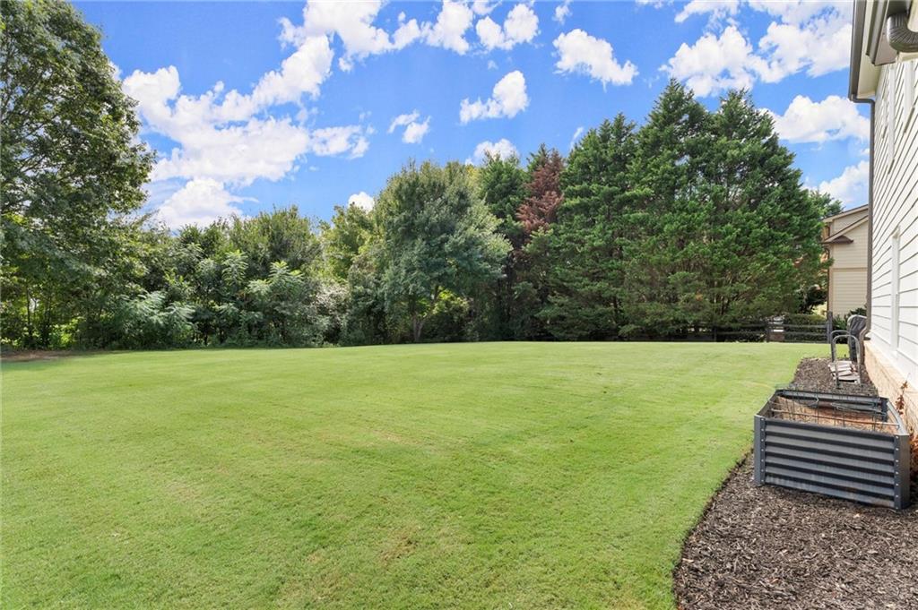 487 Carmichael Circle Canton, GA 30115 - Photo 60 of 65 a view of a yard