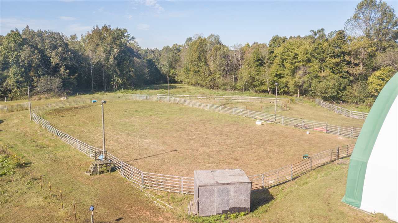 4260 Spring Creek Road, Unit LAVINIA Lavinia, TN 38348 - Photo 11 of 25