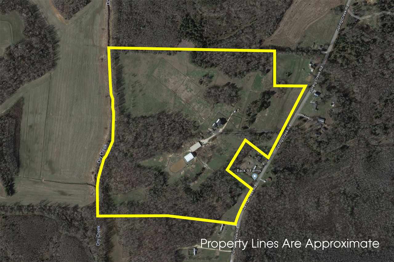 4260 Spring Creek Road, Unit LAVINIA Lavinia, TN 38348 - Photo 13 of 25