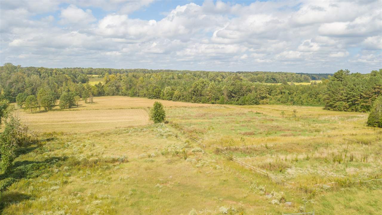 4260 Spring Creek Road, Unit LAVINIA Lavinia, TN 38348 - Photo 17 of 25